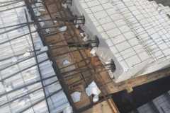 IMG-20230830-WA0042
