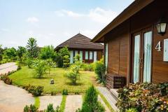 images-31
